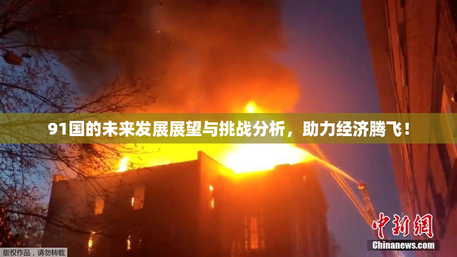 91国的未来发展展望与挑战分析，助力经济腾飞！