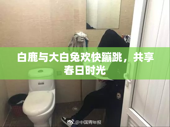 白鹿与大白兔欢快蹦跳，共享春日时光