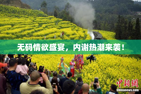 无码情欲盛宴，内谢热潮来袭！