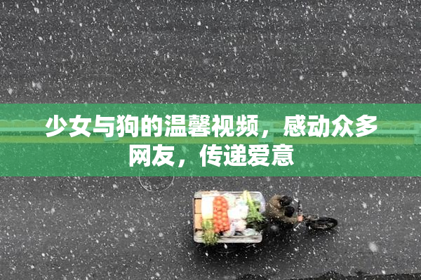 少女与狗的温馨视频，感动众多网友，传递爱意