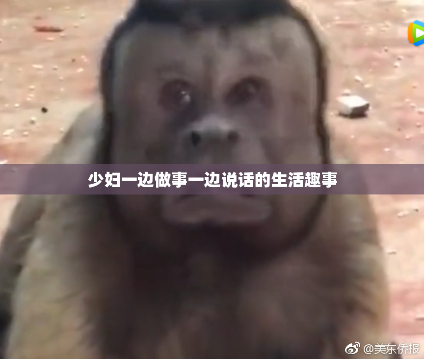 少妇一边做事一边说话的生活趣事