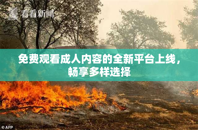 免费观看成人内容的全新平台上线，畅享多样选择