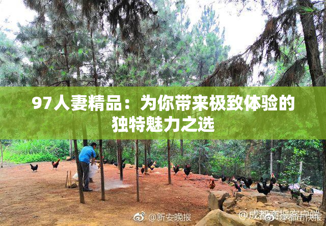 97人妻精品：为你带来极致体验的独特魅力之选