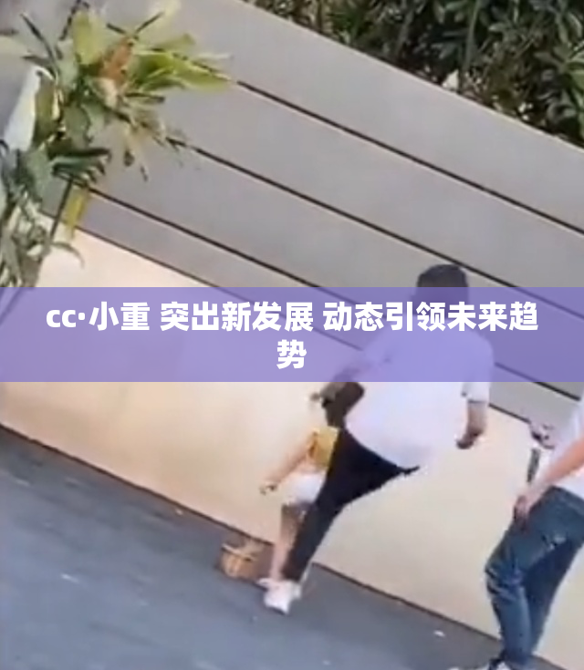 cc·小重 突出新发展 动态引领未来趋势
