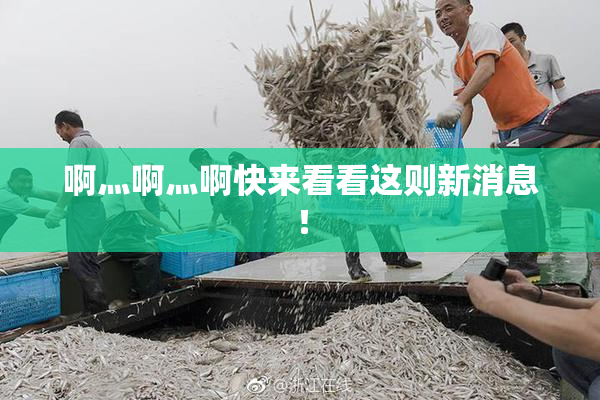 啊灬啊灬啊快来看看这则新消息！
