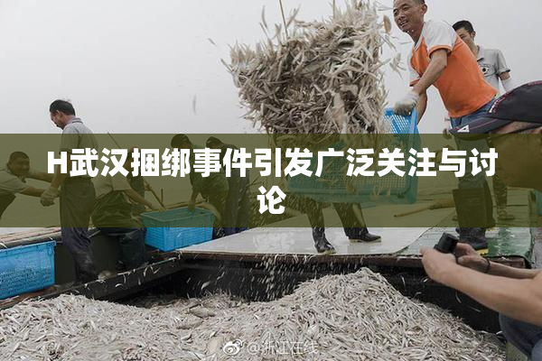 H武汉捆绑事件引发广泛关注与讨论