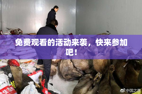 免费观看的活动来袭，快来参加吧！