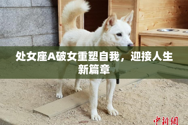 处女座A破女重塑自我，迎接人生新篇章