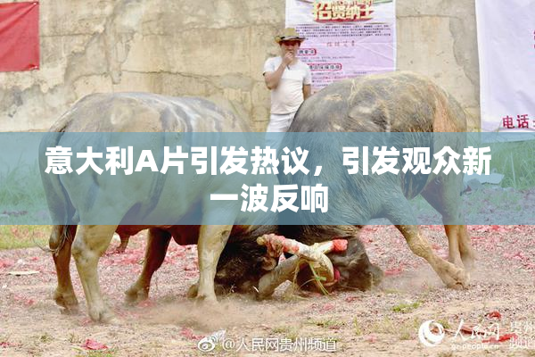意大利A片引发热议，引发观众新一波反响
