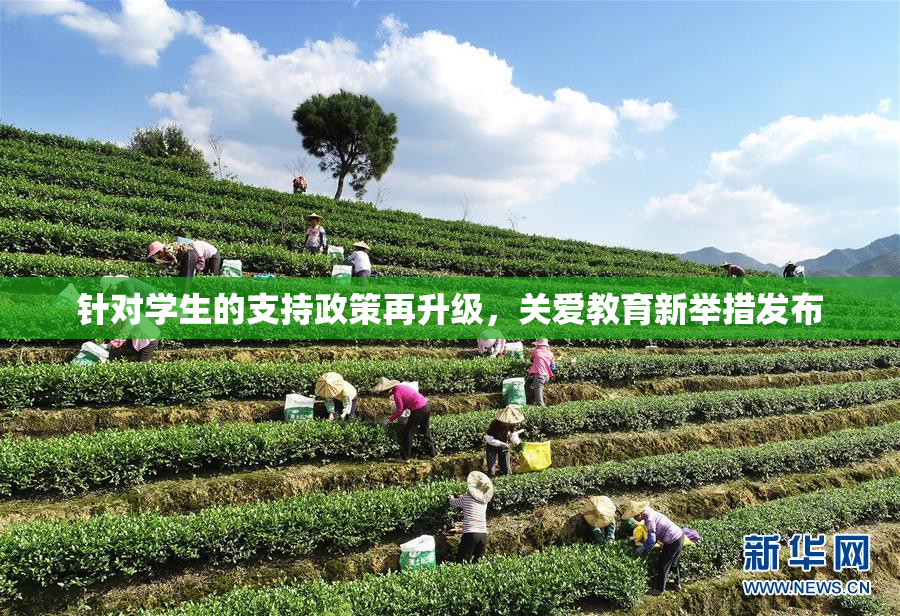 针对学生的支持政策再升级，关爱教育新举措发布
