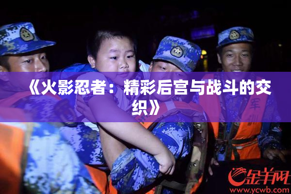 《火影忍者：精彩后宫与战斗的交织》