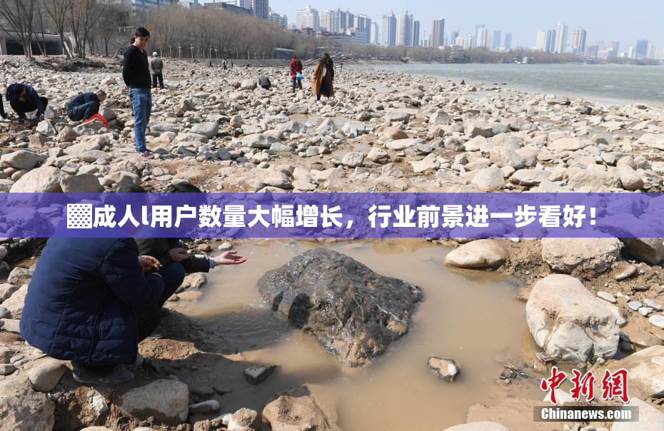 ▓成人l用户数量大幅增长，行业前景进一步看好！