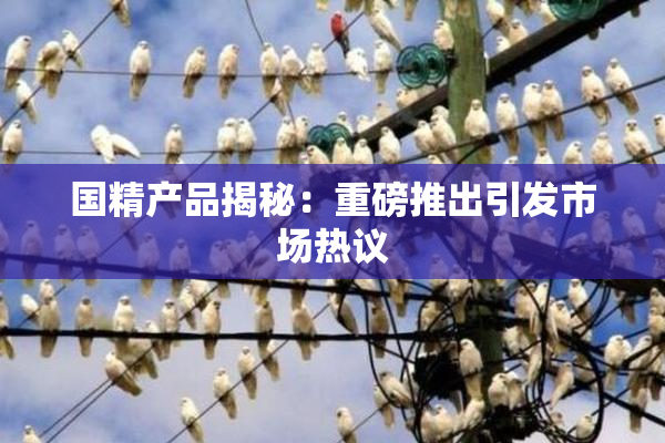 国精产品揭秘：重磅推出引发市场热议