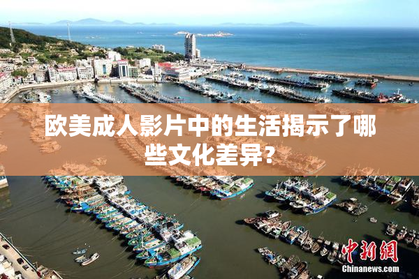欧美成人影片中的生活揭示了哪些文化差异？