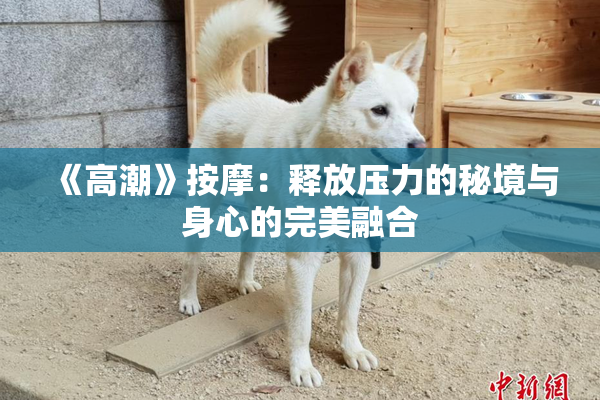 《高潮》按摩：释放压力的秘境与身心的完美融合