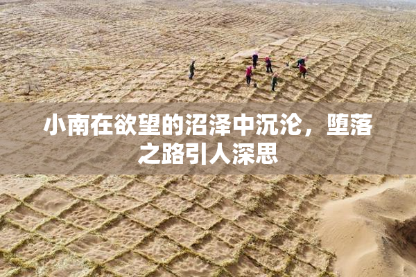 小南在欲望的沼泽中沉沦，堕落之路引人深思