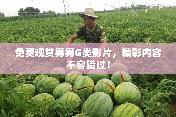 免费观赏男男G类影片，精彩内容不容错过！