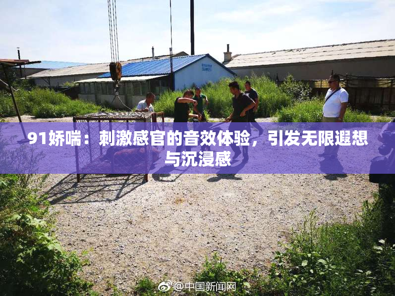 91娇喘：刺激感官的音效体验，引发无限遐想与沉浸感