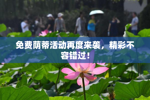 免费荫蒂活动再度来袭，精彩不容错过！