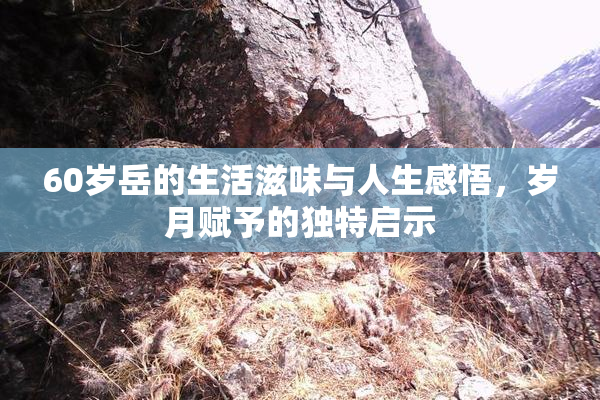 60岁岳的生活滋味与人生感悟，岁月赋予的独特启示