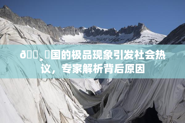 🌸‌国的极品现象引发社会热议，专家解析背后原因