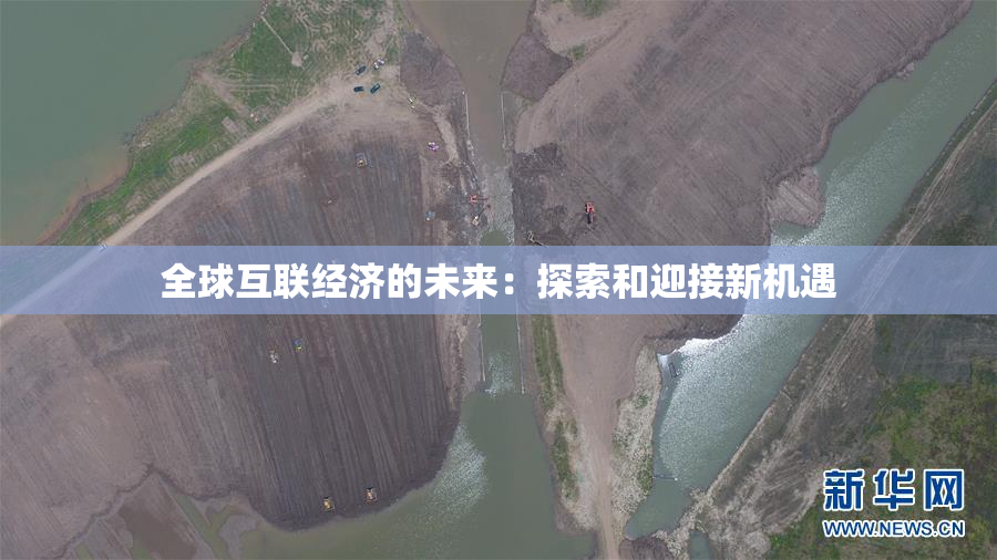 全球互联经济的未来：探索和迎接新机遇