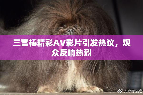 三宫椿精彩AV影片引发热议，观众反响热烈