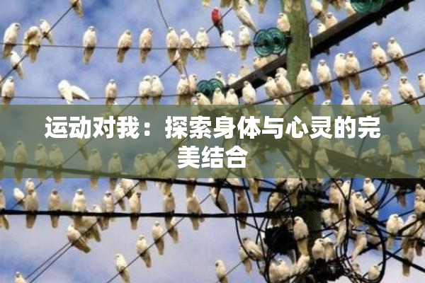 运动对我：探索身体与心灵的完美结合
