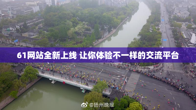 61网站全新上线 让你体验不一样的交流平台