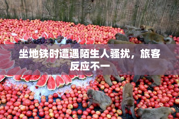 坐地铁时遭遇陌生人骚扰，旅客反应不一