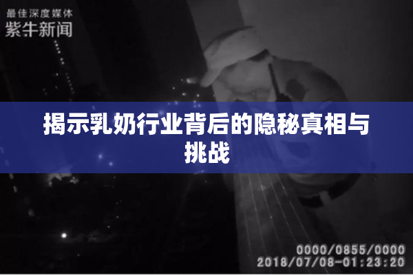 揭示乳奶行业背后的隐秘真相与挑战