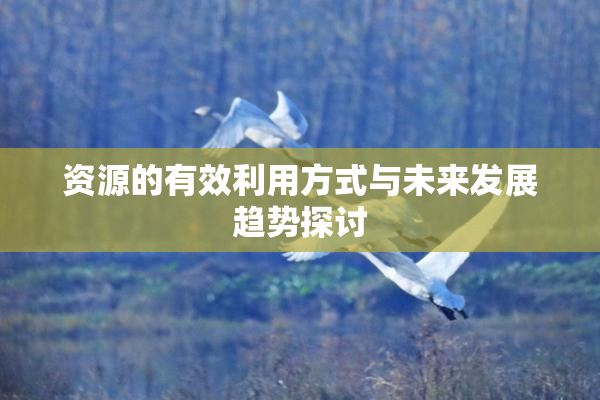 资源的有效利用方式与未来发展趋势探讨