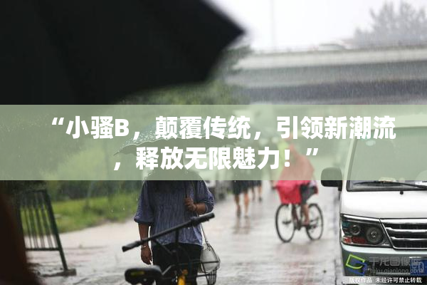“小骚B，颠覆传统，引领新潮流，释放无限魅力！”