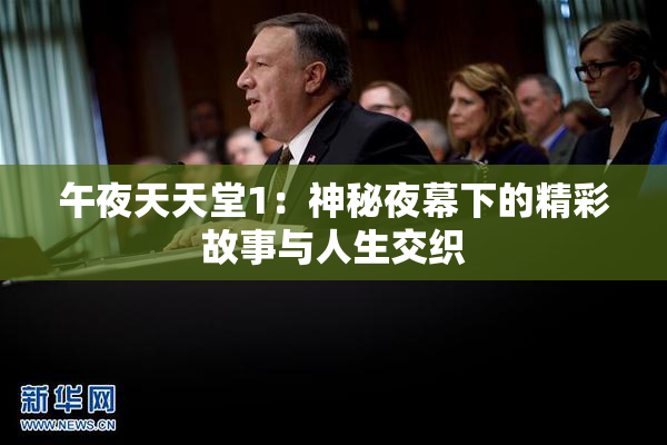 午夜天天堂1：神秘夜幕下的精彩故事与人生交织