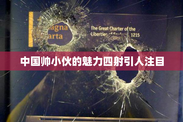 中国帅小伙的魅力四射引人注目
