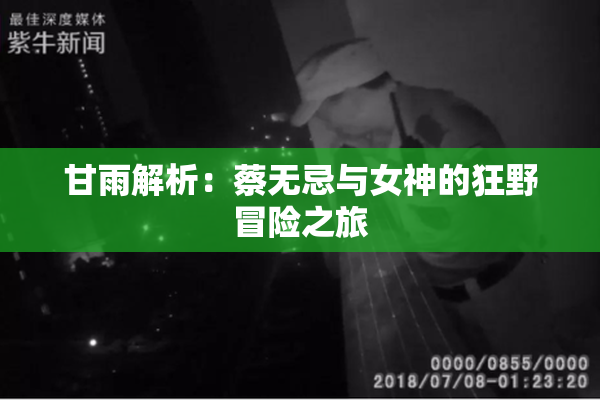 甘雨解析：蔡无忌与女神的狂野冒险之旅