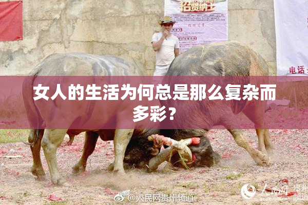 女人的生活为何总是那么复杂而多彩？