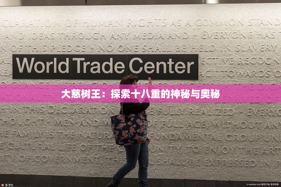大慈树王：探索十八重的神秘与奥秘