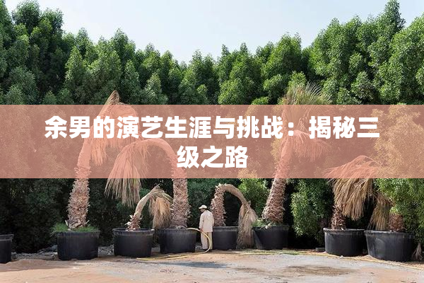 余男的演艺生涯与挑战：揭秘三级之路