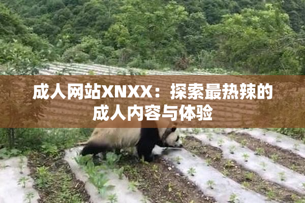 成人网站XNXX：探索最热辣的成人内容与体验