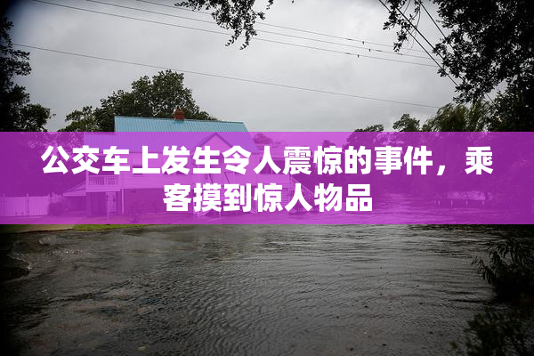 公交车上发生令人震惊的事件，乘客摸到惊人物品