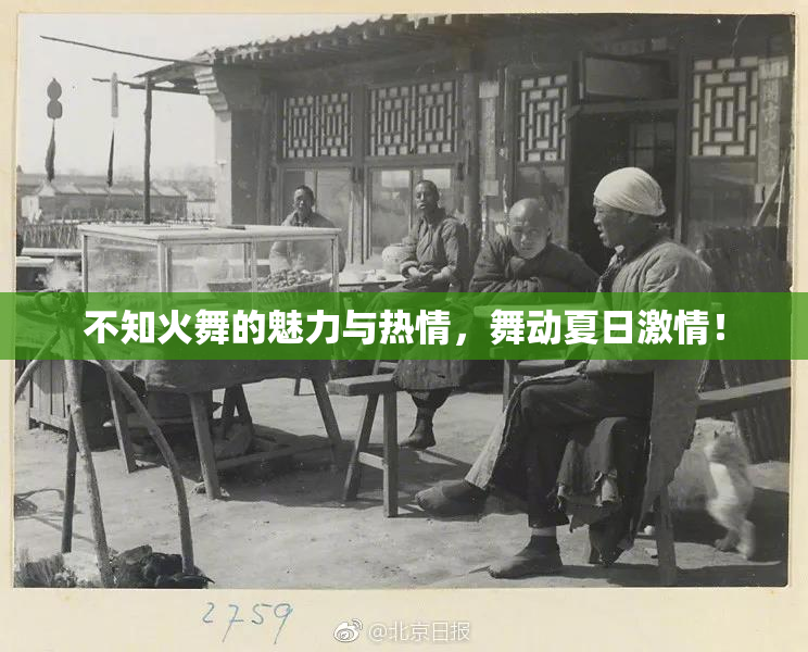 不知火舞的魅力与热情，舞动夏日激情！