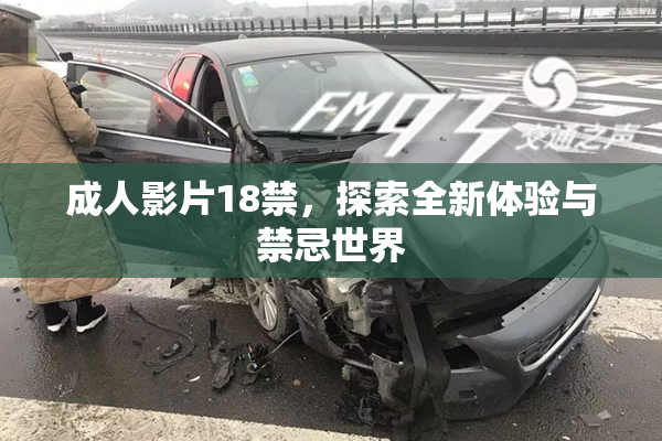 成人影片18禁，探索全新体验与禁忌世界