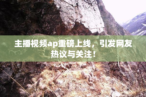 主播视频ap重磅上线，引发网友热议与关注！