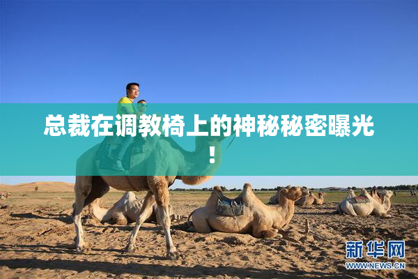 总裁在调教椅上的神秘秘密曝光！