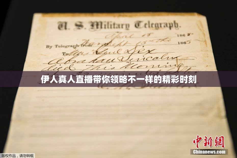 伊人真人直播带你领略不一样的精彩时刻