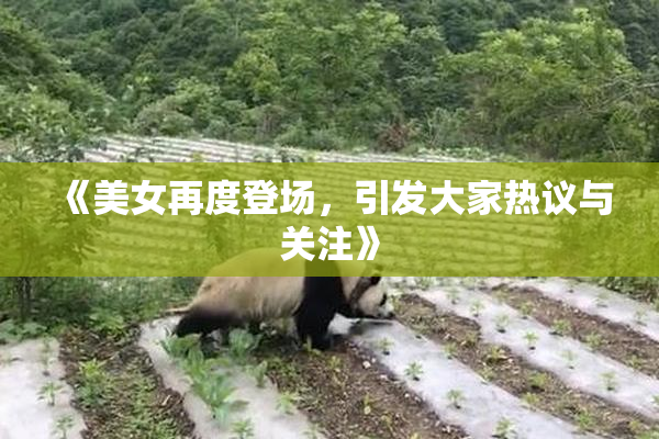 《美女再度登场，引发大家热议与关注》