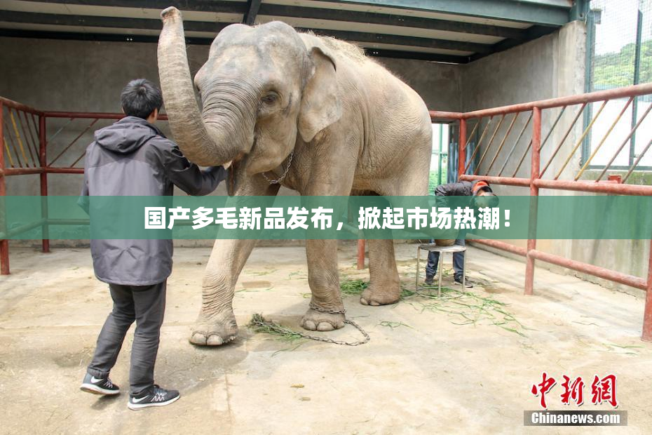 国产多毛新品发布，掀起市场热潮！