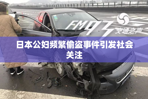 日本公妇频繁偷盗事件引发社会关注