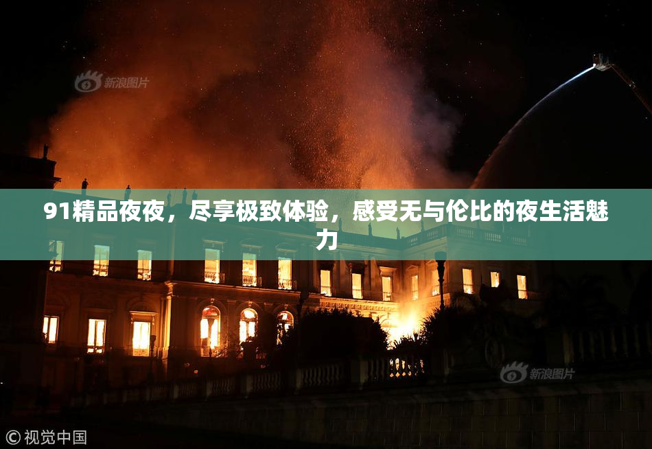 91精品夜夜，尽享极致体验，感受无与伦比的夜生活魅力